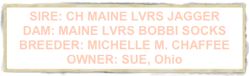 SIRE: CH MAINE LVRS JAGGER DAM: MAINE LVRS BOBBI SOCKS BREEDER: MICHELLE M. CHAFFEE  OWNER: SUE, Ohio