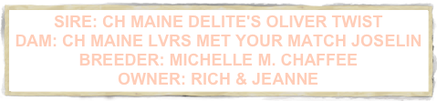 SIRE: CH MAINE DELITE'S OLIVER TWIST  DAM: CH MAINE LVRS MET YOUR MATCH JOSELIN   BREEDER: MICHELLE M. CHAFFEE  OWNER: RICH & JEANNE