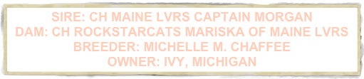 SIRE: CH MAINE LVRS CAPTAIN MORGAN DAM: CH ROCKSTARCATS MARISKA OF MAINE LVRS  BREEDER: MICHELLE M. CHAFFEE  OWNER: IVY, MICHIGAN